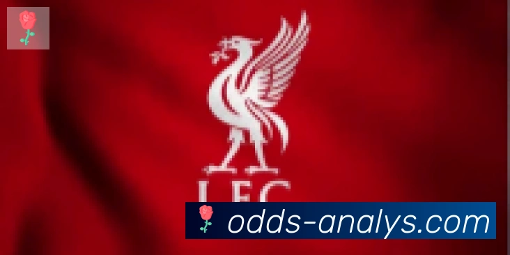 在线买球合作伙伴